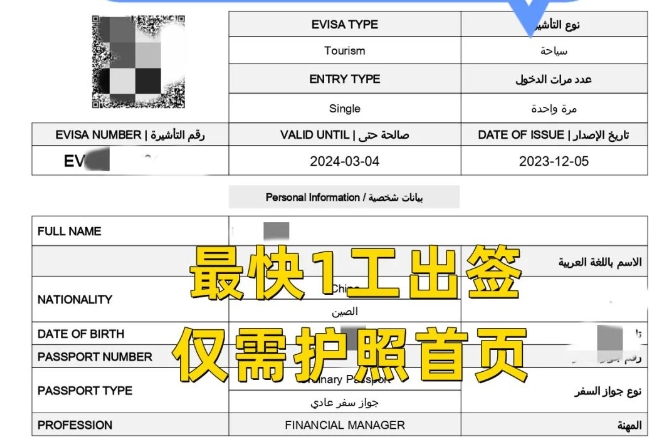 埃及旅游電子簽 僅需護照首頁 最快當天出簽!