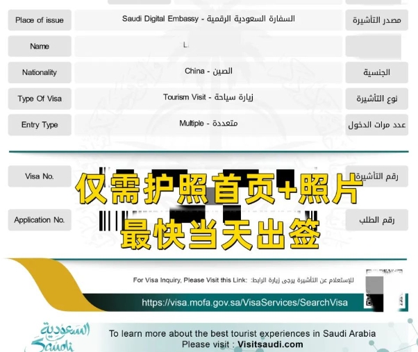 沙特一年多次電子簽 最快當天簽!